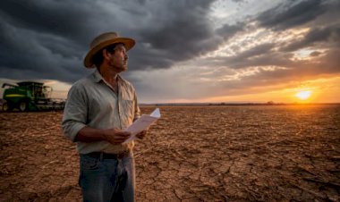 A tempestade perfeita do agro brasileiro. A crise silenciosa do endividamento rural