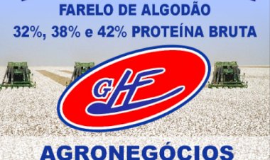 Algodão tem alívio após alta da pluma