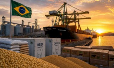 Algodão e carnes lideram avanço das exportações brasileiras em maio com altas acima de 30%