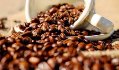 Cotação do Café hoje