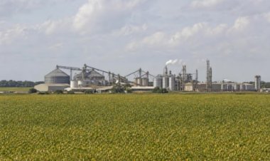 MT tenta converter força do agro em indústria