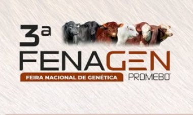 FENAGEM 2026