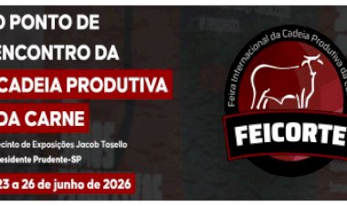 FEICORTE 2026