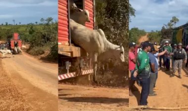 PF instaura investigação após incidentes em operação contra pecuária ilegal na Terra do Meio