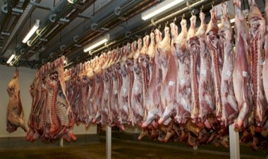 Índice de atratividade das exportações de carne bovina de MT avança 20% em maio/26