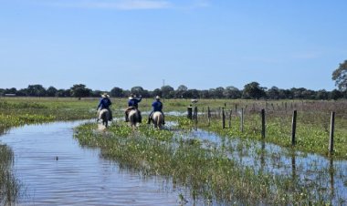 Mato Grosso do Sul recebe Fórum da Pecuária Sustentável