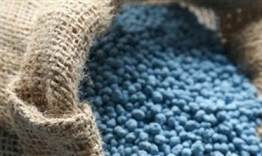 Alta de fertilizantes pressiona safra de grãos
