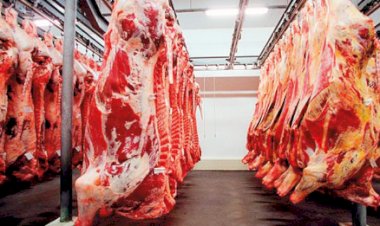 Veja aqui Cotações mistas do Agro