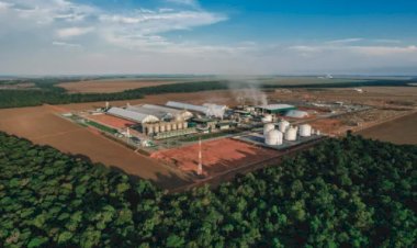 BNDES financia R$ 500 milhões em expansão bioenergética no Mato Grosso