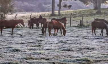 Frente fria, ciclone e ar polar podem marcar a semana mais fria de 2026