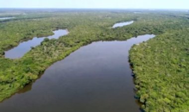 Novo programa transforma multas ambientais em investimentos para o meio ambiente no Tocantins