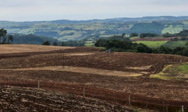 Vazio sanitário da soja está em vigor em Mato Grosso do Sul e segue até 15 de setembro