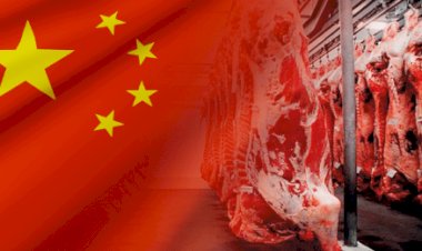 Fim da cota chinesa leva frigoríficos a conceder férias coletivas e reduzir abates