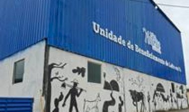 Paraíba investe R$ 1,5 milhão na primeira fábrica de leite em pó de cabra do Nordeste