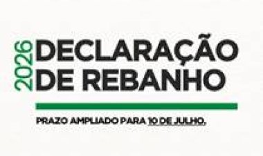 Produtor gaúcho tem até 10 de julho para fazer a declaração anual de rebanho
