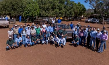 Rota da Pecuária evidencia força da genética tocantinense e atuação da Novilho Precoce Tocantins