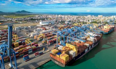 Brasil avança na OMC e abre caminho para exportações de carnes à Ucrânia e ao Canadá
