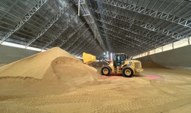 DDG amplia agregação de valor ao milho e fortalece cadeia do etanol em Mato Grosso