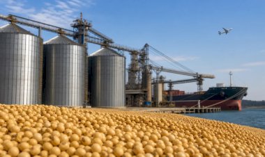 Brasil e USTR fazem quinta reunião sobre tarifas a produtos brasileiros