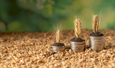 Cotações Agropecuárias