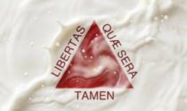 ALMG aprova em 2º turno PL que proíbe reconstituição de leite em pó importado em MG