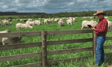 Banco do Brasil anuncia medidas para ampliar crédito a produtores rurais afetados por eventos climáticos