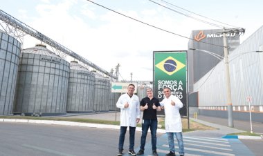 Indústria goiana transforma milho em inovação para mais de 70 países