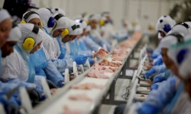 Brasil projeta novo ciclo de crescimento na produção e nas exportações de proteínas animais