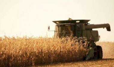 Tocantins se destaca em boletim nacional com avanço da colheita e boas condições das lavouras