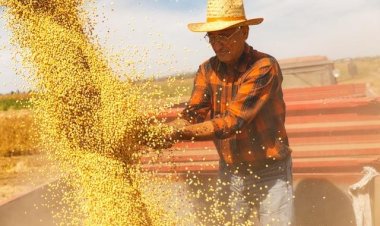 Aprosoja Brasil apresenta ao governo seis propostas para ampliar renegociação de dívidas rurais