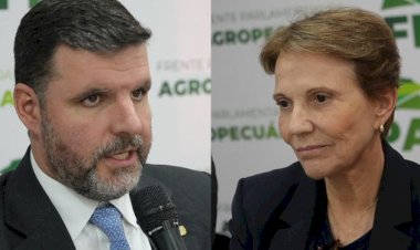 Acordo Mercosul-UE: oportunidade comercial ou risco para o agro brasileiro?
