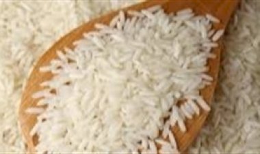 Colheita começa com preços firmes no mercado de arroz