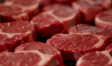 Marrocos suspende tarifas de importação de ovinos vivos e carnes até dezembro de 2026