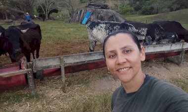 Especial Nordeste: ela provou que 30 hectares eram suficientes para produzir mais leite