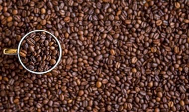 Cotação do Café hoje