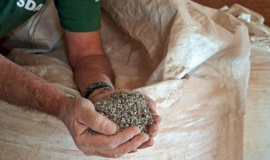 Operação apreende 217 toneladas de fertilizantes adulterados em MT