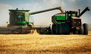 China compra mais de 70porcento das exportações do Tocantins e amplia participação no mercado estadual