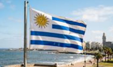 Uruguai: país produz e exporta mais leite do que nunca em sua história