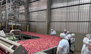Preços da indústria caem 0,83porcento em julho, mostra IBGE