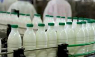 Exportações de lácteos da Argentina batem recorde de quase US$ 1 bi, Brasil é o principal destino