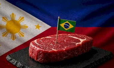 Filipinas vão elevar importação de carne bovina brasileira em 2027, prevê USDA