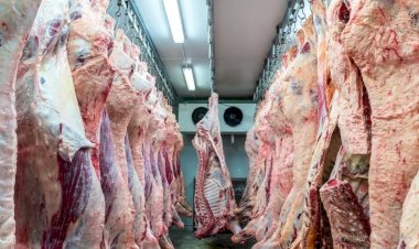 Tocantins está entre estados com novos frigoríficos habilitados a exportar carne bovina para a Indonésia