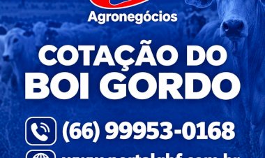Boi gordo: mercado ganha ritmo e arroba registra novas altas