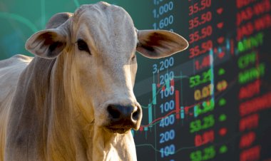 Veja aqui Cotações mistas do Agro