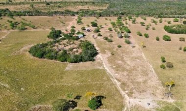 ITR 2026: prazo termina e produtor rural que não declarou já está sujeito a multa