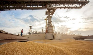 Preço da soja cai no Brasil após ficar fora de acordo entre China e EUA