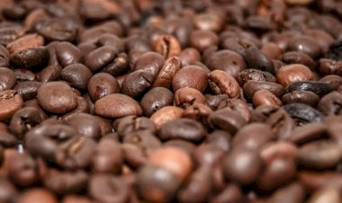Exportação mundial de café sobe 14,89porcento em agosto, diz OIC