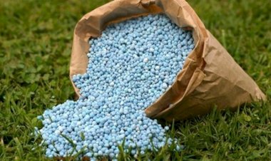 Fertilizantes mais caros elevam custos da safra