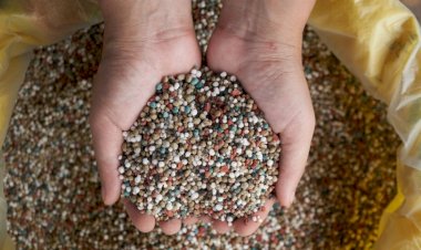 Fertilizantes já estão contratados para 90porcento da soja