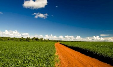 Cade rejeita recurso da Aprosoja-MT e mantém encerrado processo sobre Moratória da Soja